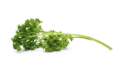 Fresh green parsley leaves isolated on white background