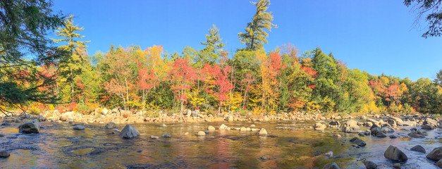 Creek and trees in New England in foliage season, panoramic view