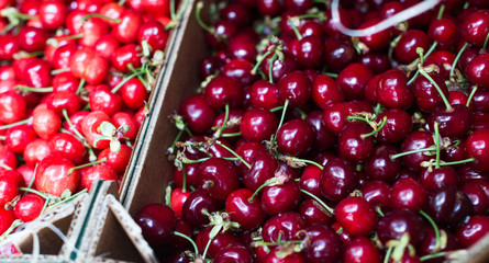 pile of cherry in wooden boxes