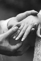 Groom put ring on bride's hand on wedding ceremony, tender black and white photo
