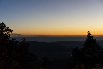 sunset scene with orange sky and tree