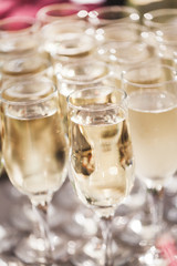 A lot of champagne glasses close up on wedding reception