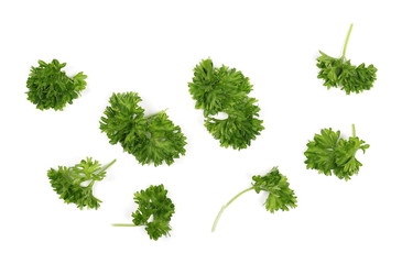 Fresh green chopped parsley leaves isolated on white background