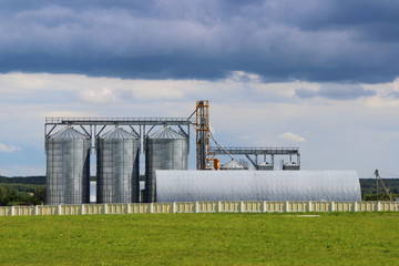 Obraz premium Elevator, modern grain dryer on the edge of a green field in summer in the village against the cloudy sky - agriculture, farm, farming, harvesting grain