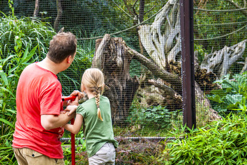 Father explaining daughter monkeys in the zoo