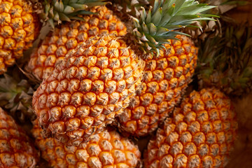 Bunch of fresh pineapples in the organic food market