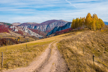 Autumn scene in the mountains