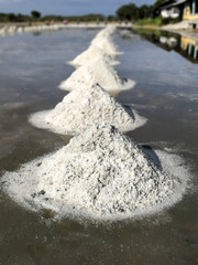 Natural sea salt .