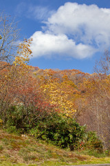 Fototapeta premium 日和山