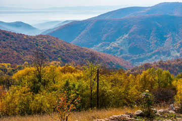 Autumn in Transylvania