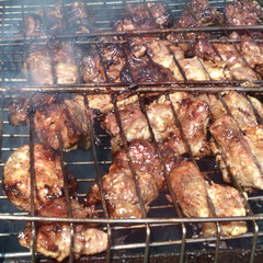 The shish kebab from pork meat is fried on a fire on a lattice during a picnic close-up.