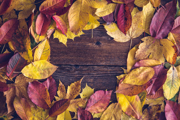 Autumn leaves over wooden background