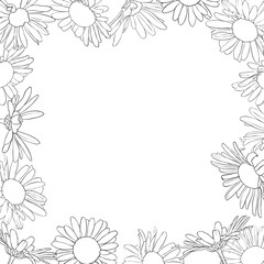 vector frame with drawing daisy flowers