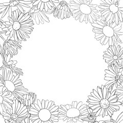 vector frame with drawing daisy flowers