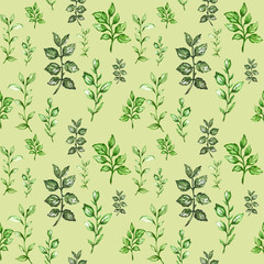 Botanical pattern of green branches and leaves floral Design