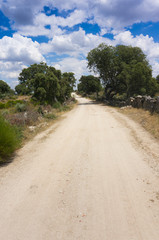 Fototapeta na wymiar droga szutrowa w Hiszpanii