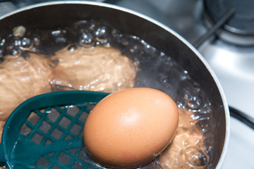 Cooking boiled eggs in a pan of boiling water