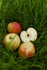 Ripe yellow red apples lying on the grass. One of them is sliced. Close up background