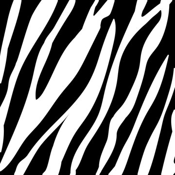 Black and white zebra skin print. Vector seamless pattern for fabric,textile, wrapping. 
