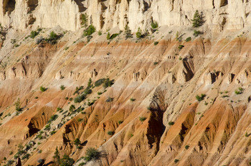 landscape on the bryce canyon in the united states of america