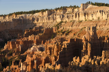 landscape on the bryce canyon in the united states of america