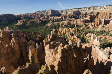 landscape on the bryce canyon in the united states of america