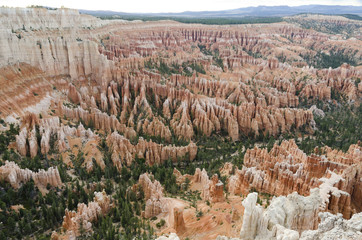 landscape on the bryce canyon in the united states of america