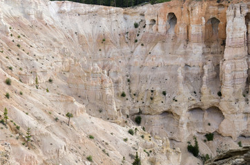 landscape on the bryce canyon in the united states of america