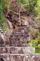 Historic botanical garden