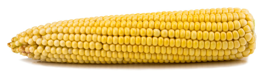 Corn isolated on white background clipping path