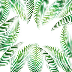 Fototapeta na wymiar Watercolor frame tropical leaves and branches isolated on white background.