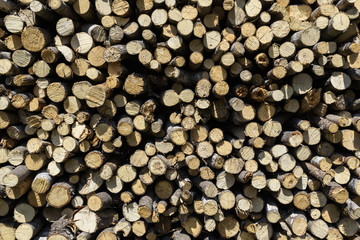 A composition made of dry firewood forming a wall.