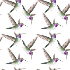 pattern bird. Seamless white pattern. Watercolor hand drawing background, texture, wrapper pattern, frame or border.