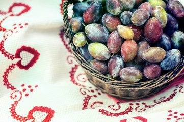 Ripe plums in wicker basket shortly after rain in bright sunlight