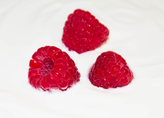 three juicy raspberry berries on white yogurt close up