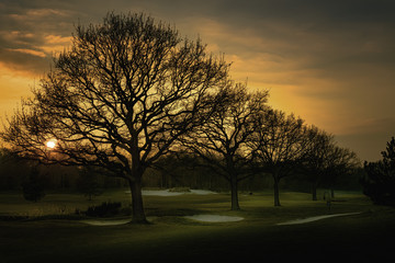 Fototapeta premium sunset in the city