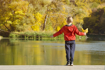 Fototapeta na wymiar Boy in red jacket standing on the dock. Leaves in hand. Autumn, sunny. Back view