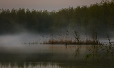 fog on the lake
