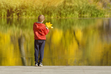 Fototapeta na wymiar Boy in red jacket standing on the pier with leaves in his hand. Autumn sunny day. Back view