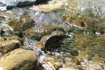 clean water in a mountain stream