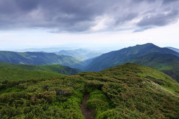 The nice view to the landscape of high mountains in the sunny day is opened from the green valley covered with bushes and pathway. Location the Carpathian Mountains, Marmarosy, Ukraine.