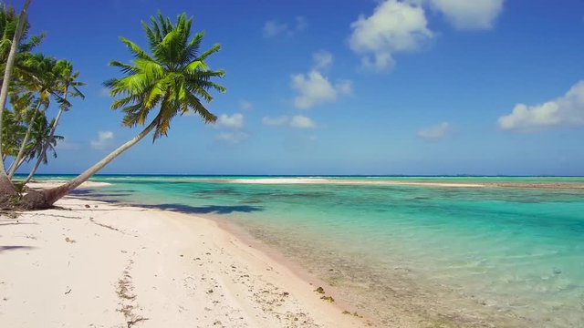 travel, seascape and nature concept - tropical beach with palm trees in french polynesia