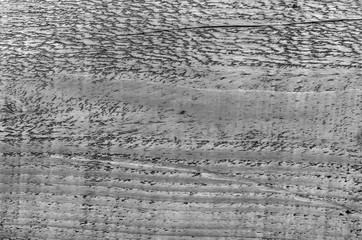 Obraz premium Texture of the painted board.