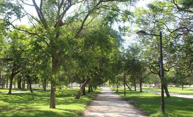 Pasillo vegetal