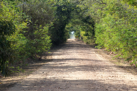 Estrada Parque do Pantanal dirt road, Mato Grosso do Sul, Brazil