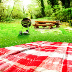 Summer photo of blanket on grass and grill background. 