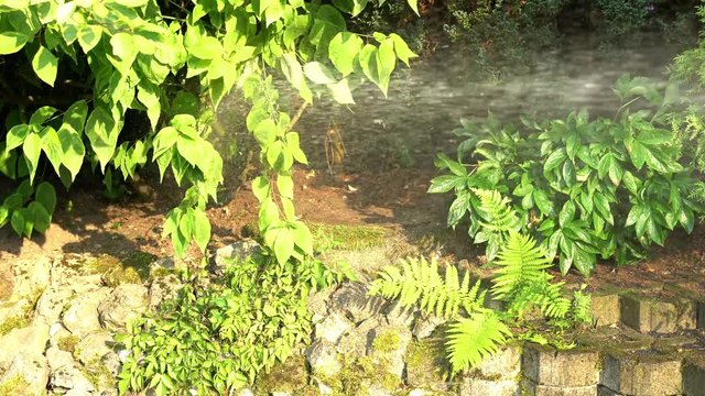 Wasser aus einem Gartenschlauch gie&szlig;t die Pflanzen im Garten. Nahaufnahme mit original Ton.