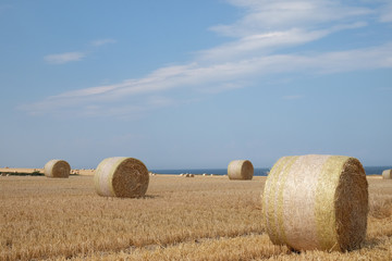 Rundballen aus Stroh nach der Getreideernte