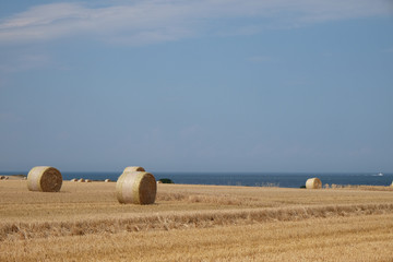 Strohernte im August