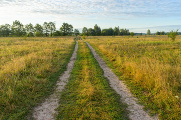 Vanishing dirt road through meadow at dawn. Bulatovo, Kaluzhsky region, Russia.
